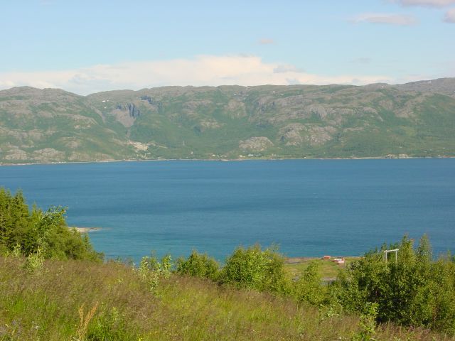 02062860.jpg