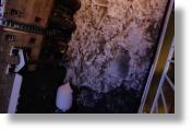 20060127_009.jpg