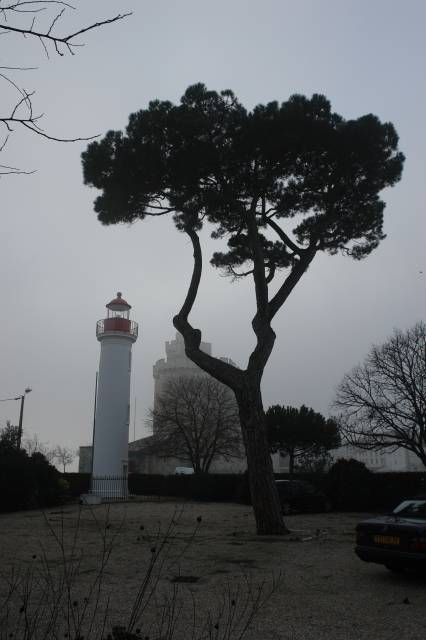 20060201_013.jpg