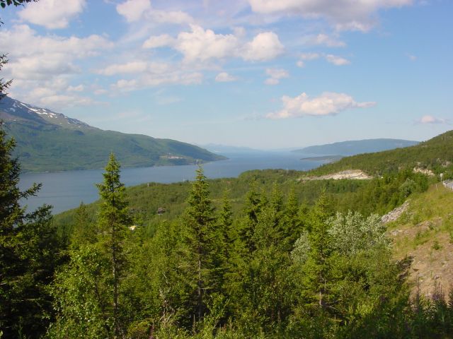 02062908.jpg