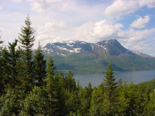 02062909.jpg