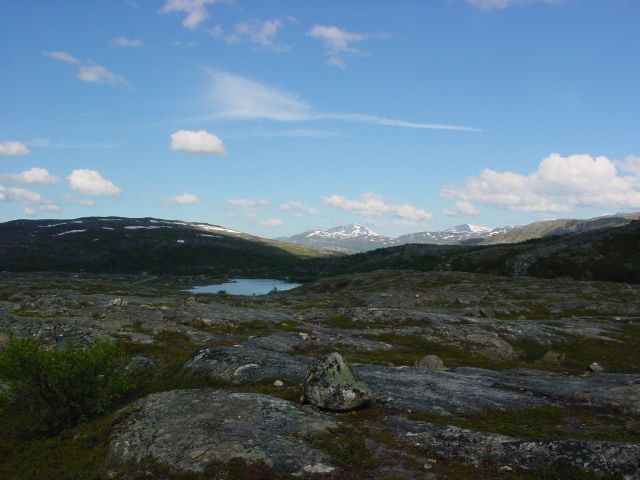 02062913.jpg
