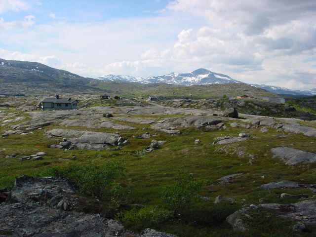 02062915.jpg