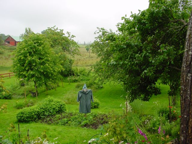 02070434.jpg