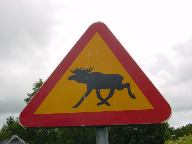 02070509.jpg