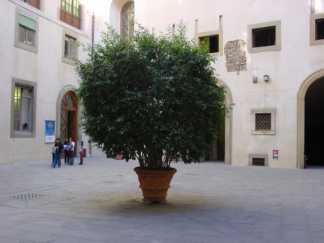 Florenz42.jpg