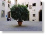 Florenz42.jpg