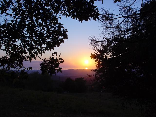 Hotel_2009_05.jpg