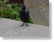 San_Gimignano09.jpg