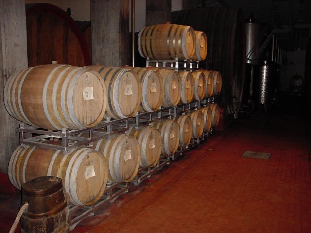 Siena26.jpg