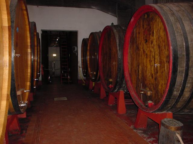 Siena29.jpg