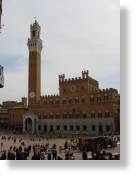 Siena13.jpg