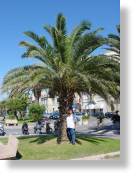 Viareggio01.jpg