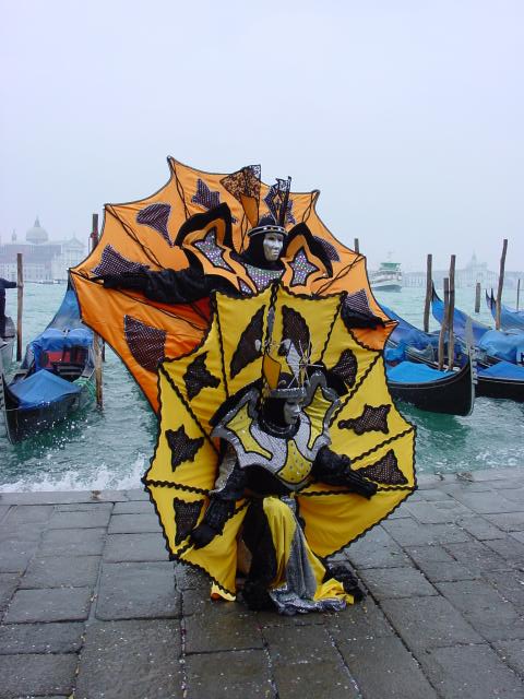 dsc00969.jpg
