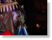 dsc00856.jpg