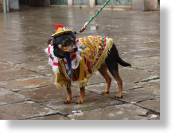 dsc01156.jpg