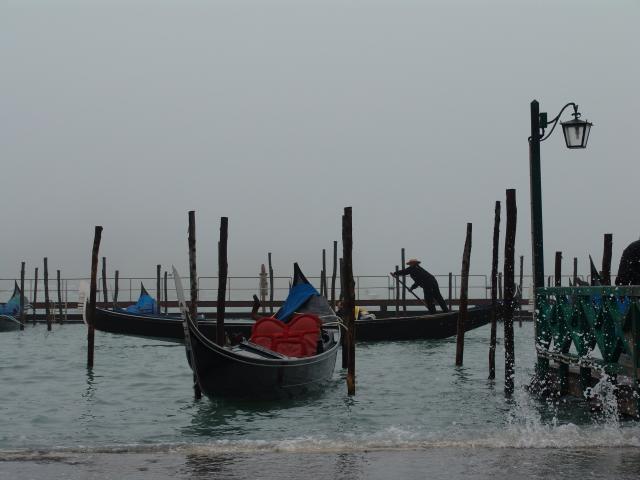 dsc00769.jpg