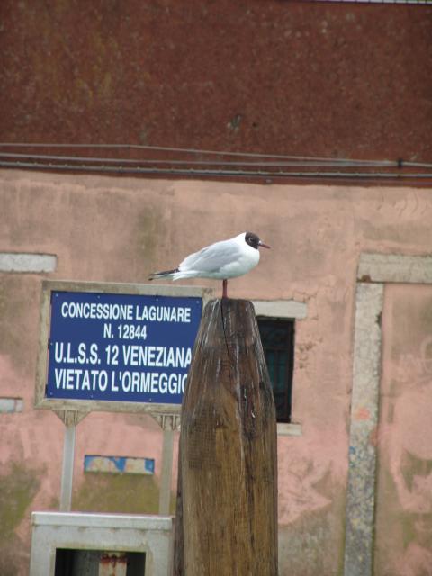 dsc00782.jpg