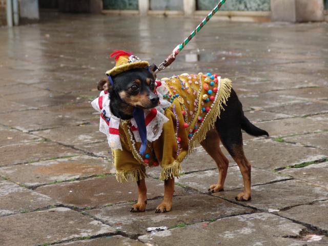 dsc01156.jpg