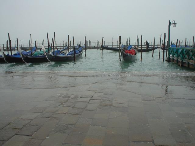 dsc05644.jpg