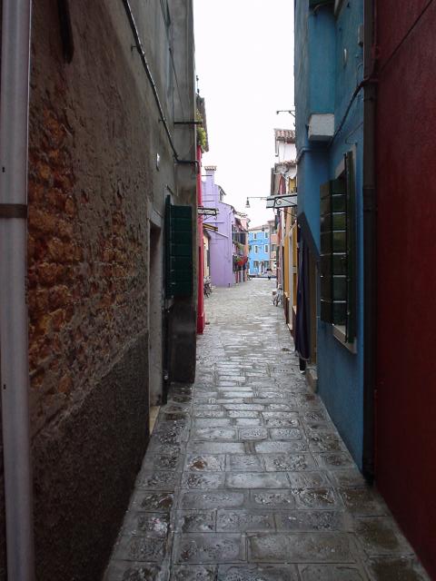dsc05704.jpg