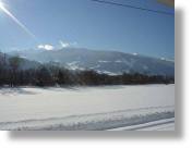 dsc07373.jpg