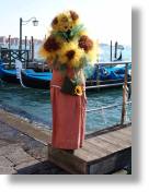 dsc02640.jpg