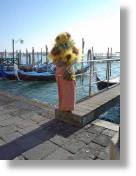 dsc07502.jpg