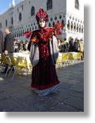 dsc07513.jpg