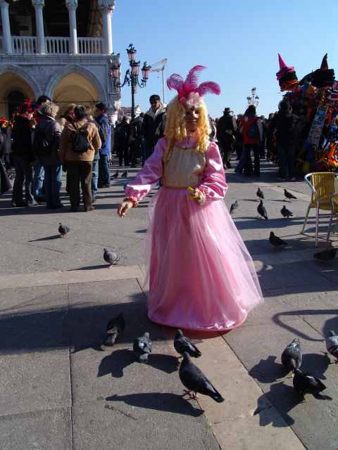 dsc02386.jpg