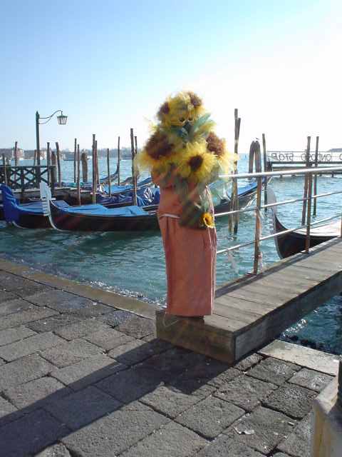 dsc07502.jpg