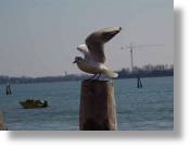 dsc02797.jpg