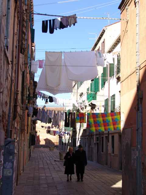 dsc02446.jpg