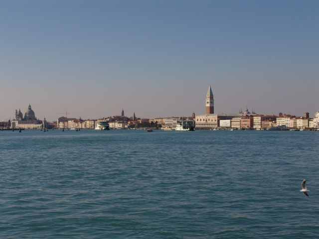 dsc02451.jpg